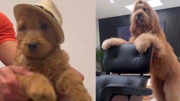 Reprodução / Redes Sociais