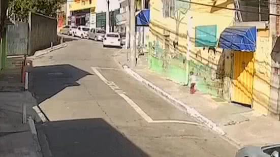 Reprodução
