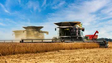 Imagem Com novidades, famosa feira agropecuária espera público recorde em sua segunda edição; confira