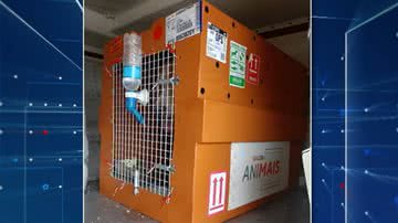 Reprodução / TV Globo