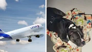 Divulgação/Latam e Reprodução/Redes Sociais