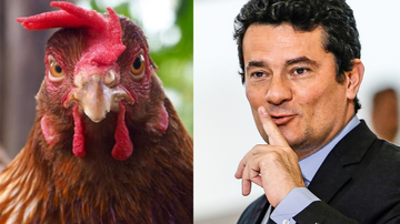 Reprodução: montagem