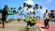 Praia de Jardim de Alah