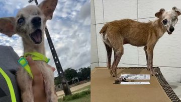 Reprodução / Redes sociais