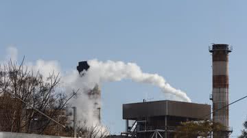 Reprodução Freepik