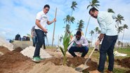 Prefeitura de Salvador inicia plantio de mudas de coqueiros na capital baiana