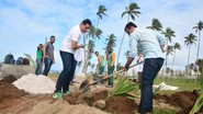 Prefeitura de Salvador inicia plantio de mudas de coqueiros na capital baiana