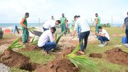 Prefeitura de Salvador inicia plantio de mudas de coqueiros na capital baiana