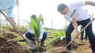 Prefeitura de Salvador inicia plantio de mudas de coqueiros na capital baiana