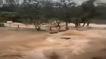 Reprodução/Vídeo