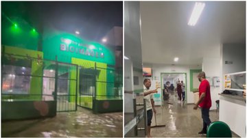 Reprodução/ vídeo