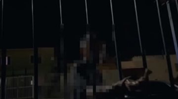 Reprodução/Vídeo