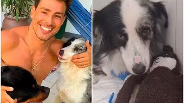 Reprodução/Instagram