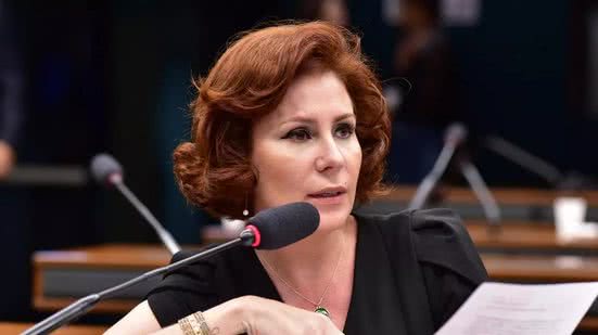 Zeca Ribeiro/Câmara dos Deputados