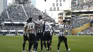 Vitor Silva/Botafogo