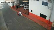 Reprodução
