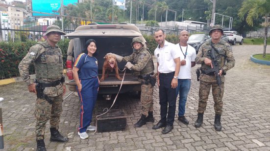 Reprodução / COPPA