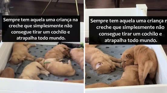 Reprodução Redes Sociais