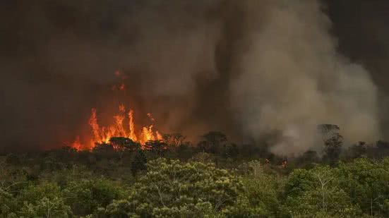 Marcelo Camargo / Agência Brasil
