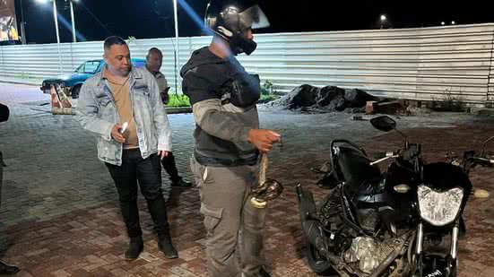 Reprodução | X | @CeoDandara