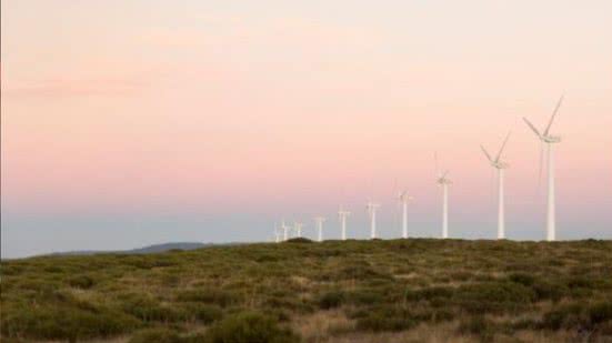 Divulgação / Freepik