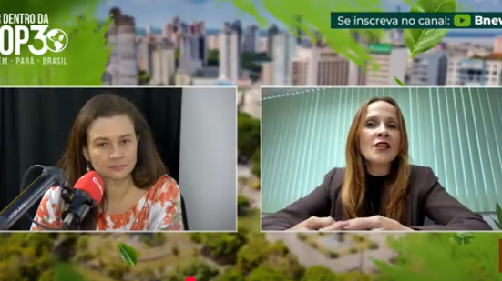 BNews