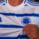 Foto: Reprodução / redes sociais / Cruzeiro