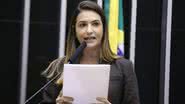 Kayo Magalhães/Câmara dos Deputados  Fonte: Agência Câmara de Notícias