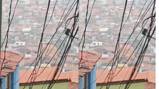 Reprodução/leitor bnews