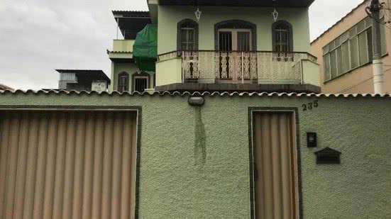 Reprodução/Biasi Leilões