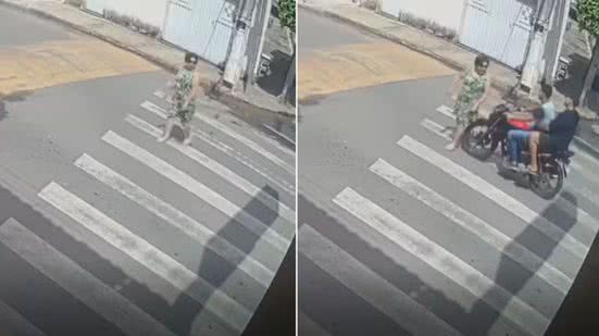 Reprodução