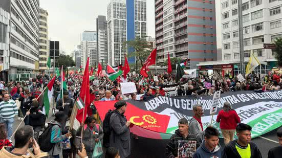 Divulgação / @soupalestina