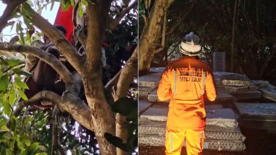 Divulgação/Corpo de Bombeiros