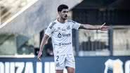 Raul Baretta/Santos