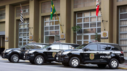 Polícia Civil São Paulo