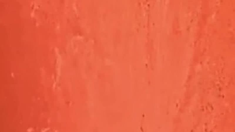 Reprodução / Vídeo