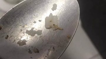 Reprodução/Whatsapp