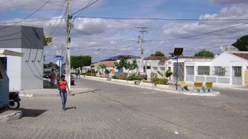 Reprodução