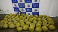 Divulgação/Polícia Civil