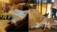 Divulgação / PRF-BA