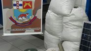 Divulgação / SSP-BA