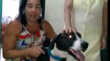 Reprodução
