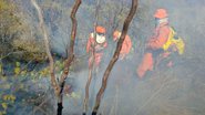 Divulgação/Bombeiros Militares