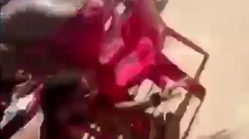 Reprodução