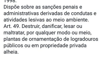 Leitor BNews