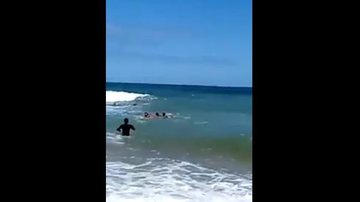 Reprodução