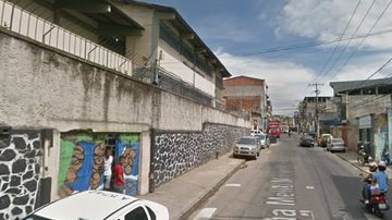 Reprodução