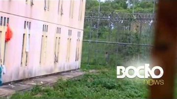 BNews