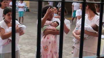 Reprodução