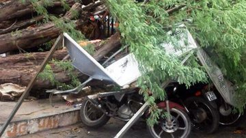 Reprodução/Noticias de Santaluz